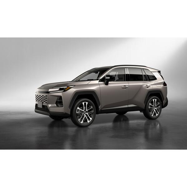 art-j-rav4-02.jpg