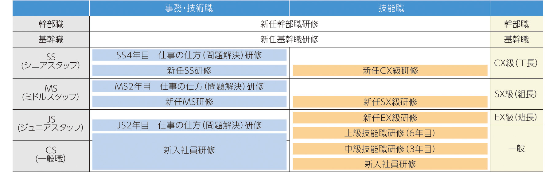 階層別研修体系