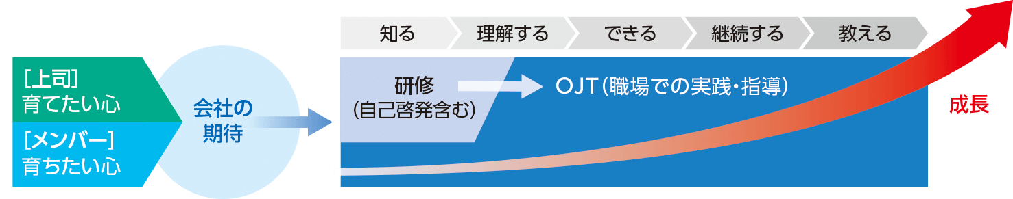 OJTによる成長のイメージ