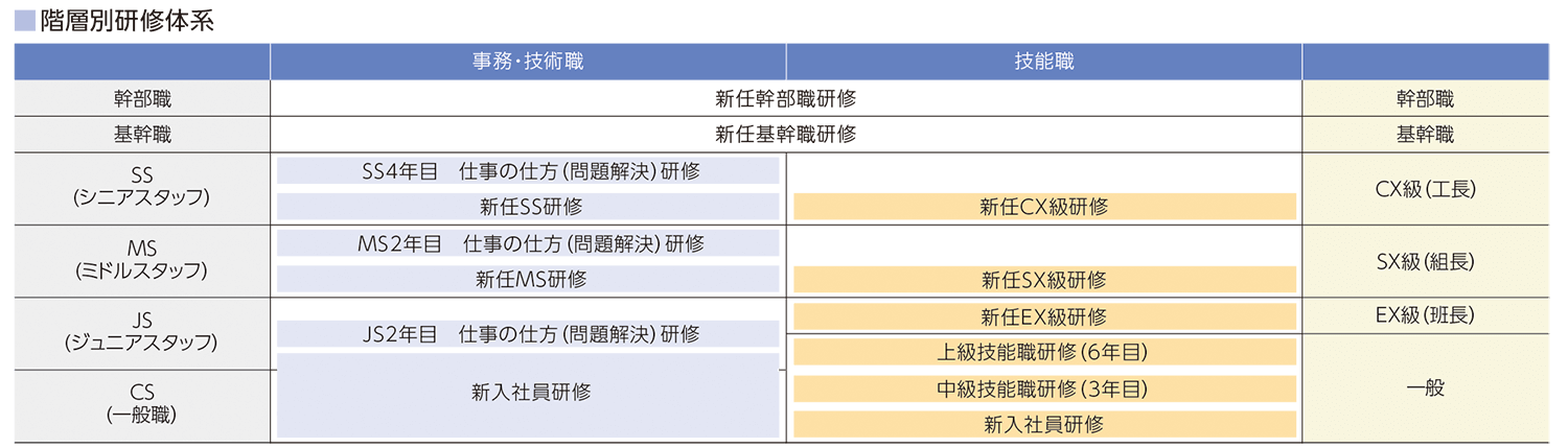 階層別研修体系