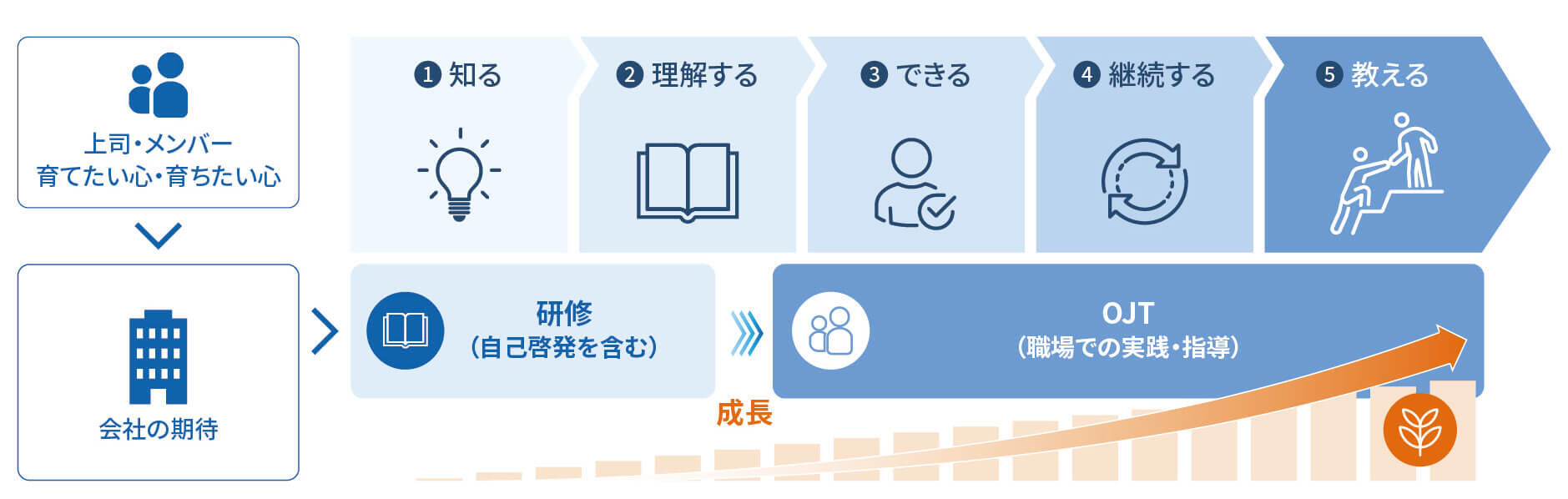 OJTによる成長のイメージ